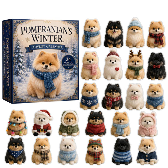 Pomeranian Kalendarz Adwentowy – Zimowa Niespodzianka